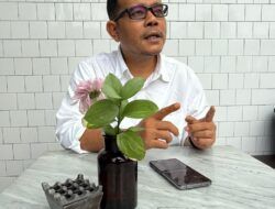 Sebut Istana Over Acting Sampai Cabut Kartu Peliputan,Ketum IWO : “Merusak Asta Cita Presiden