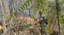 8 Hektare Lahan Terbakar di Noling, Babinsa dan Warga Berjibaku Cegah Api Merembet