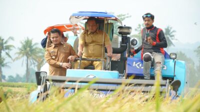 Panen Perdana Demplot VUB, Pemkab Luwu Perkuat Dukungan untuk Petani